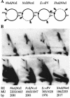 FIG. 6.
