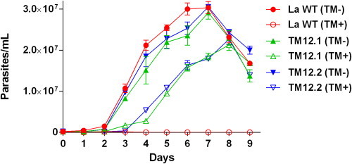 Fig. 1