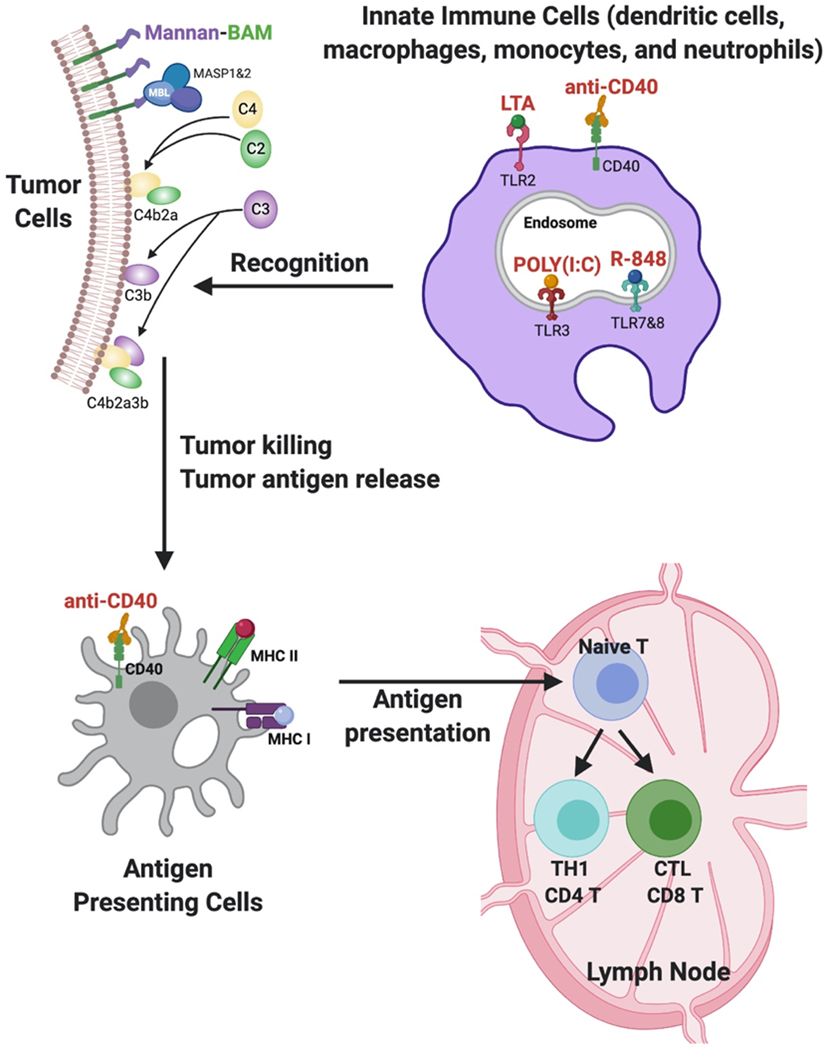 Figure 1: