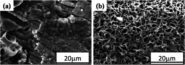 Fig. 13