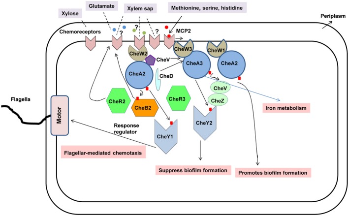 Figure 9