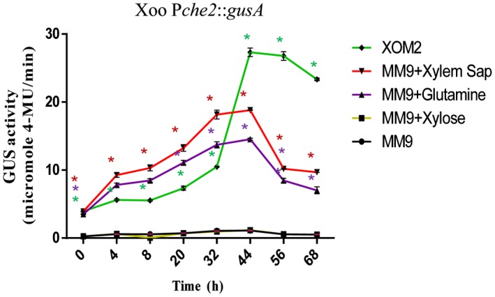 Figure 5