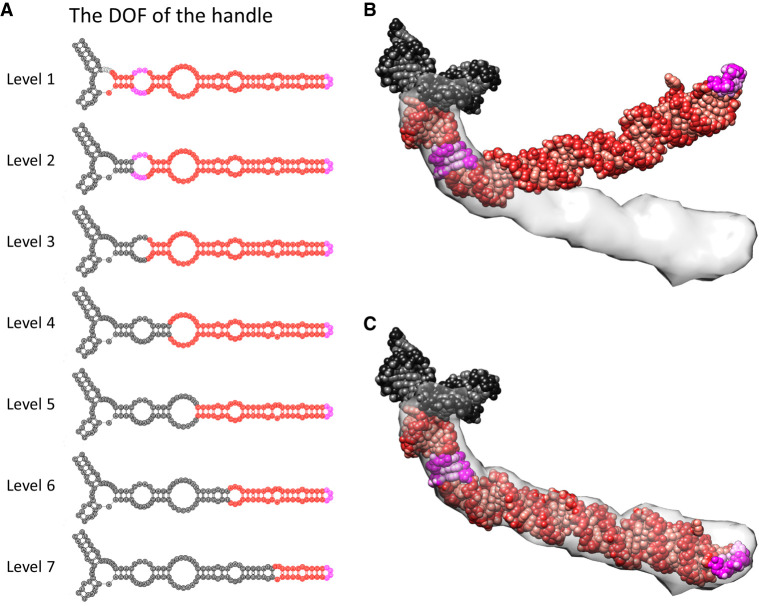 FIGURE 3.