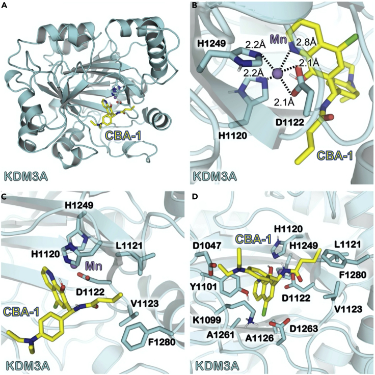 Figure 4