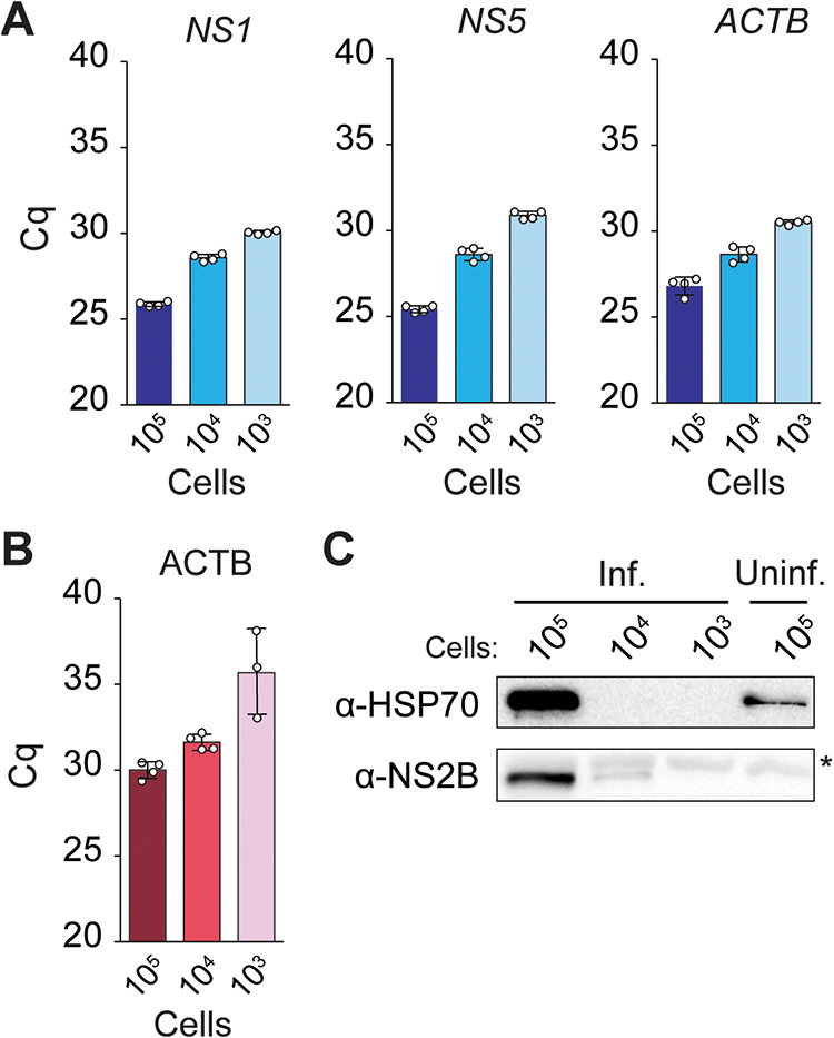 FIG 3