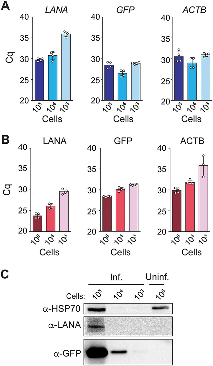 FIG 2