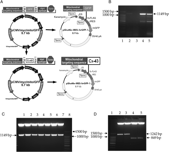 Figure 3