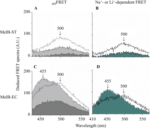 FIGURE 5.