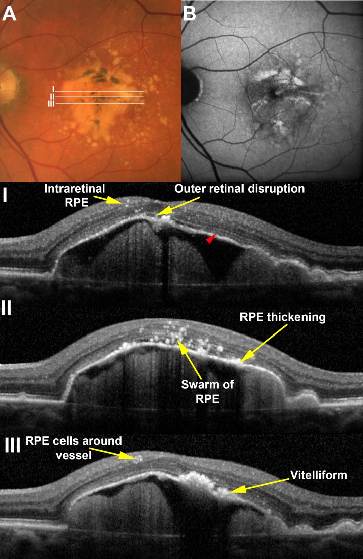 Figure 6