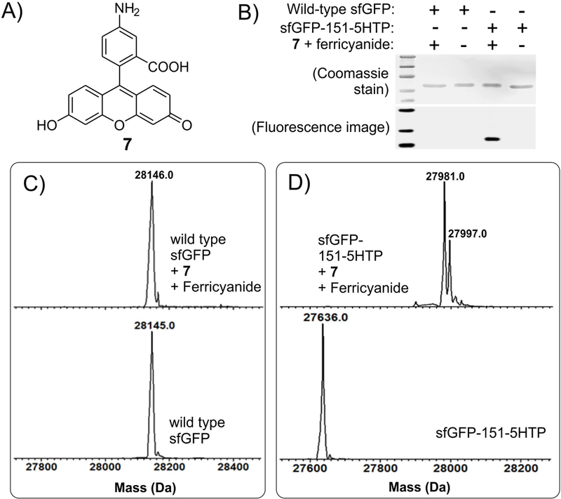 Figure 4.