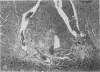 133