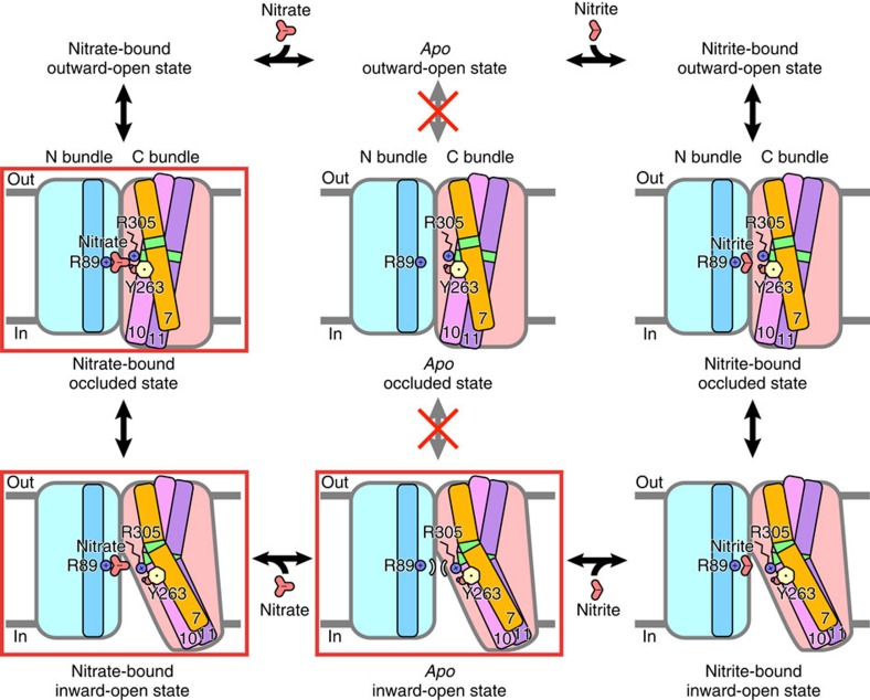 Figure 7