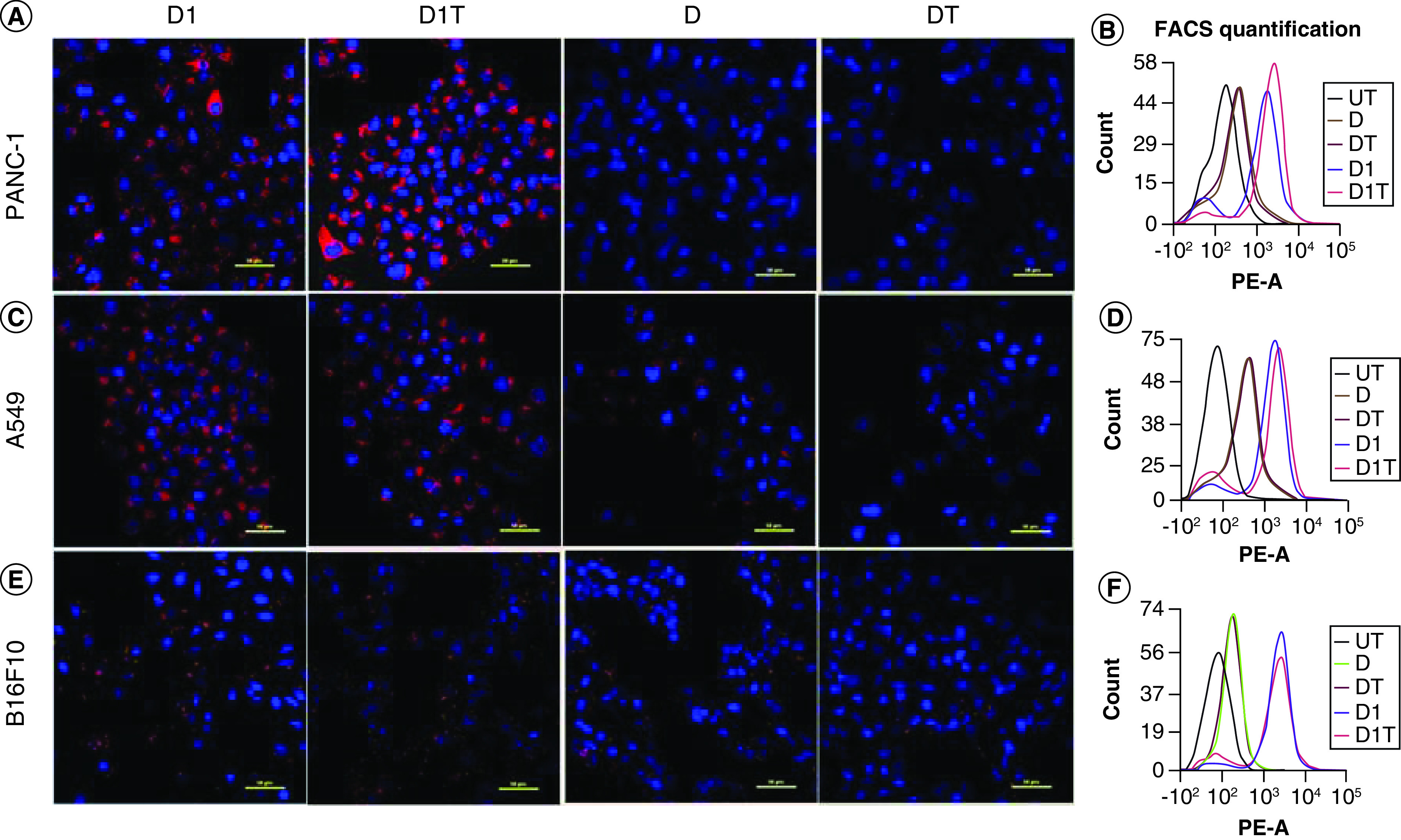 Figure 2. 