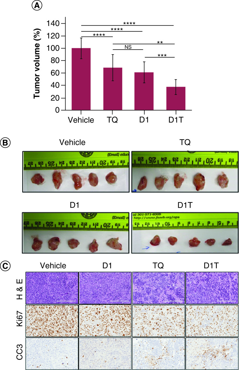 Figure 6. 