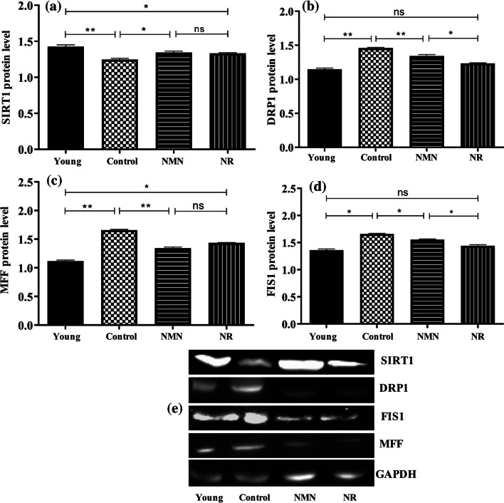 Fig. 7