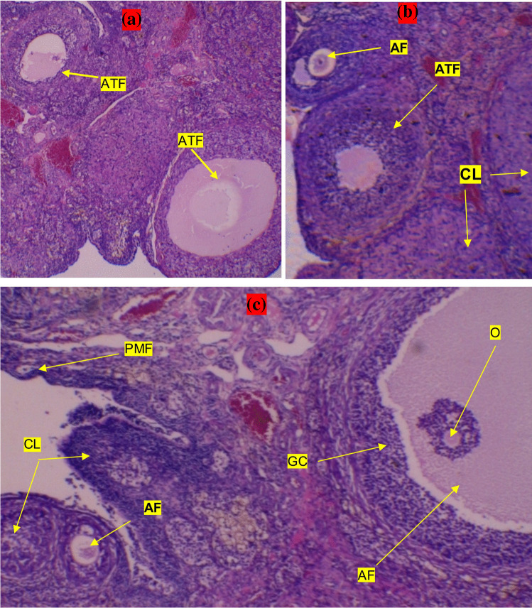 Fig. 3