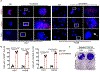 Extended Data Fig. 6.