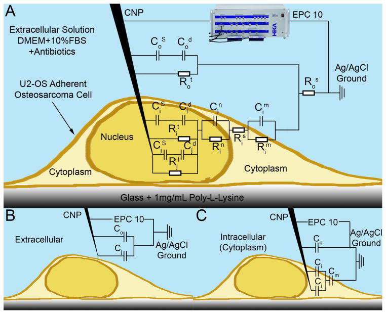 Figure 2