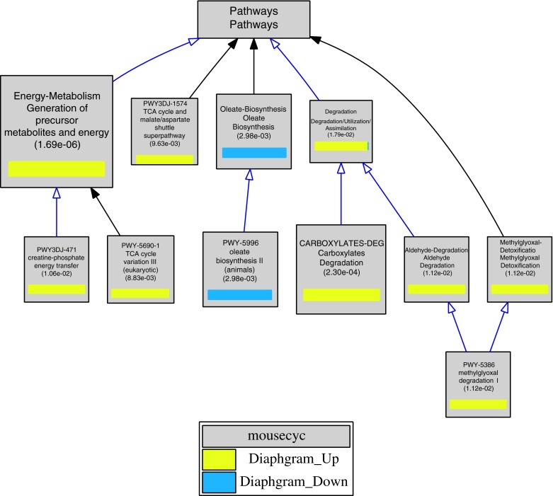 Fig. 3