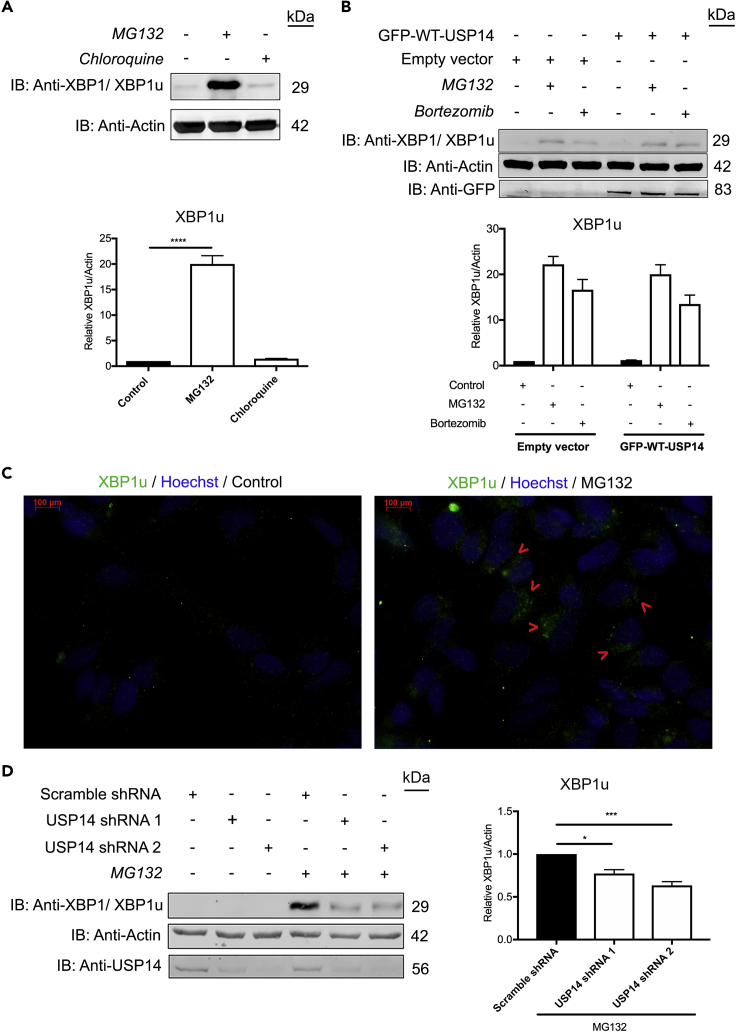 Figure 4