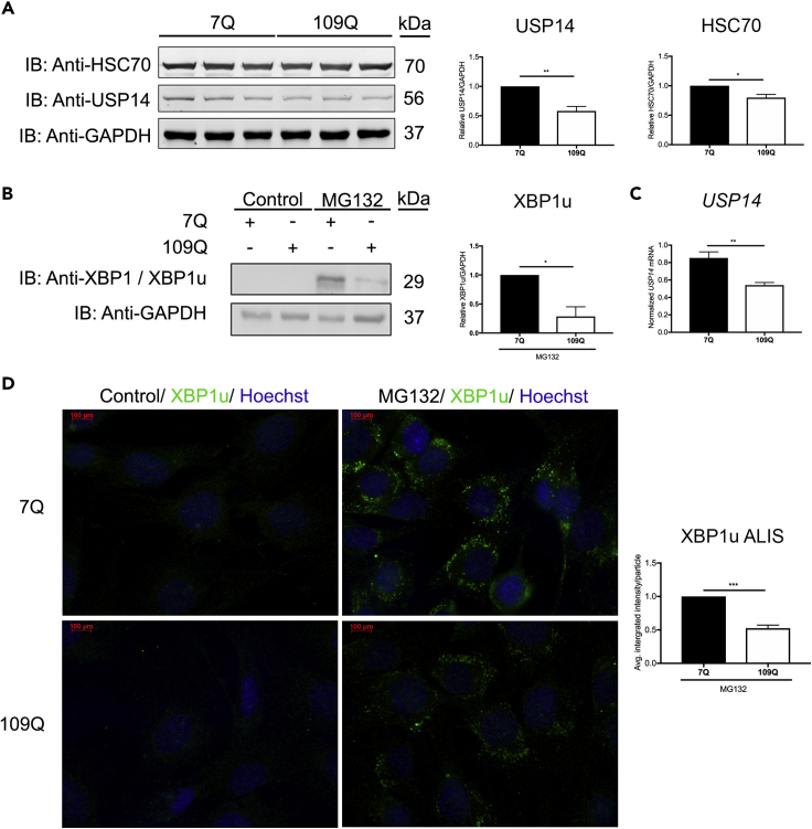 Figure 6