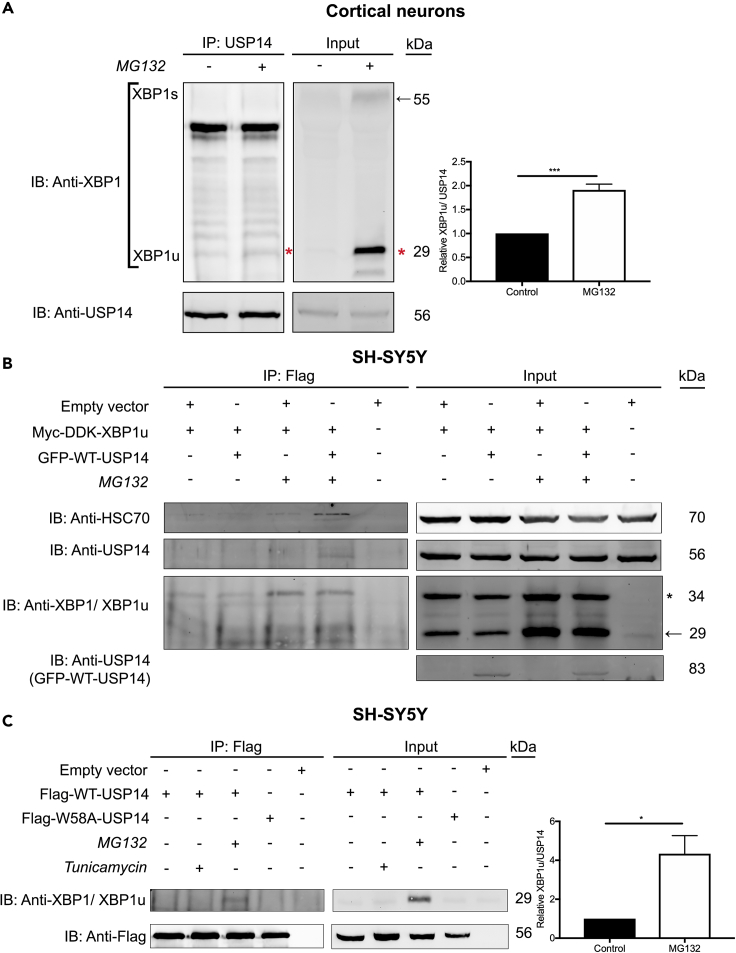 Figure 3