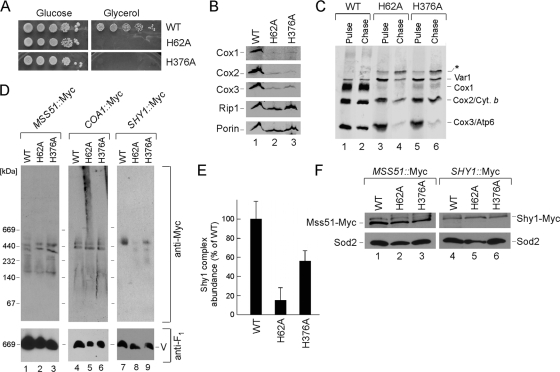 FIG. 6.