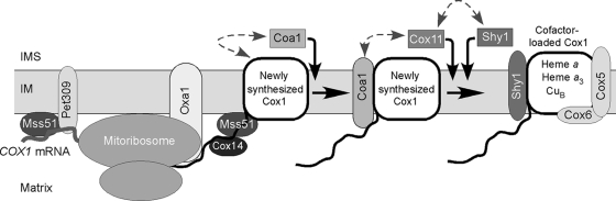 FIG. 10.