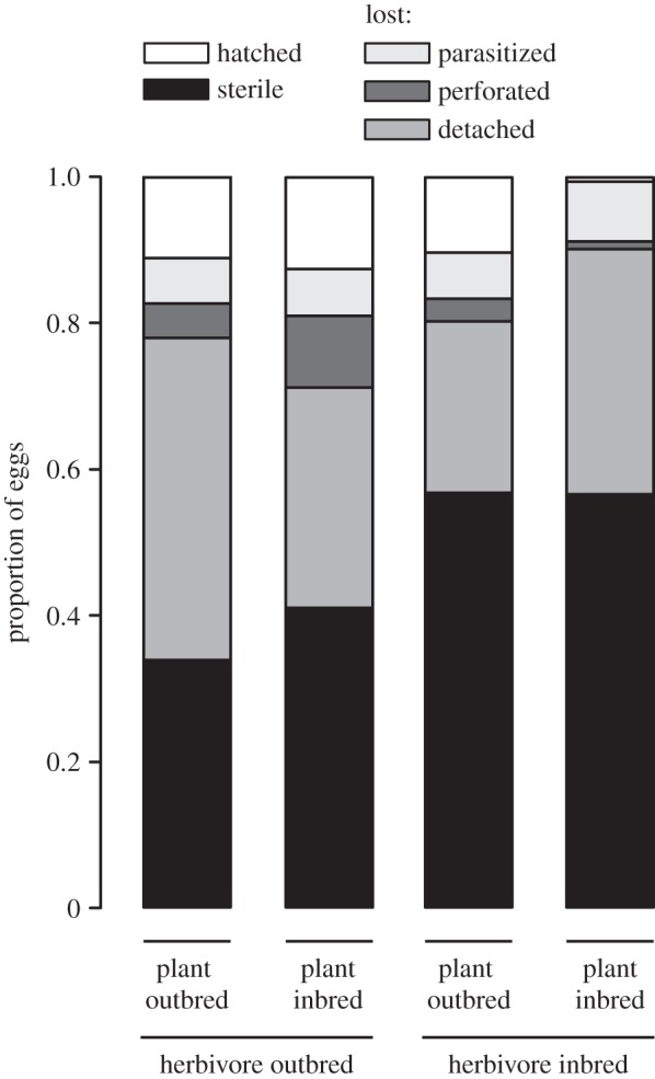 Figure 2.