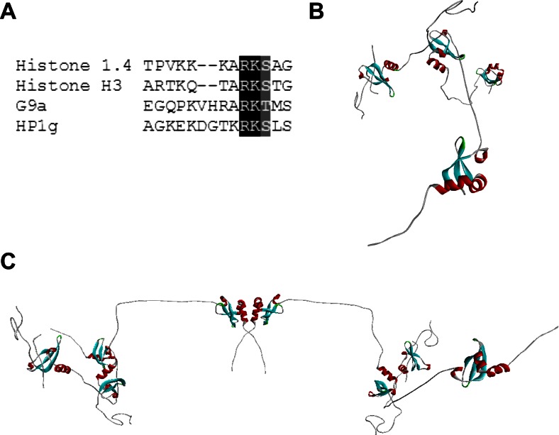 Fig. 11