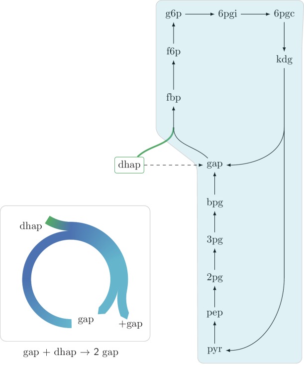 Figure 2—figure supplement 2.