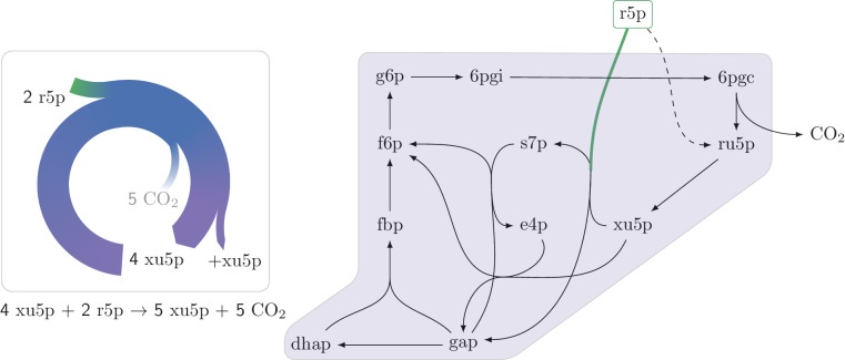 Figure 2—figure supplement 1.