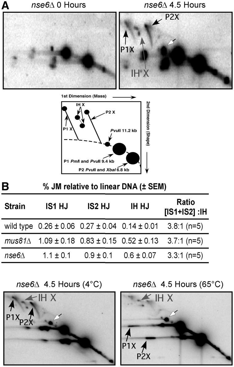 Figure 5.