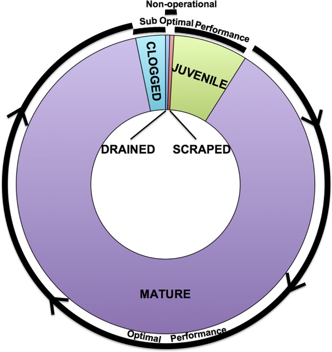 FIG 1 