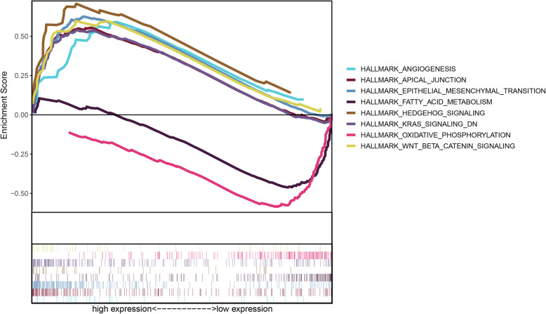 Fig. 9