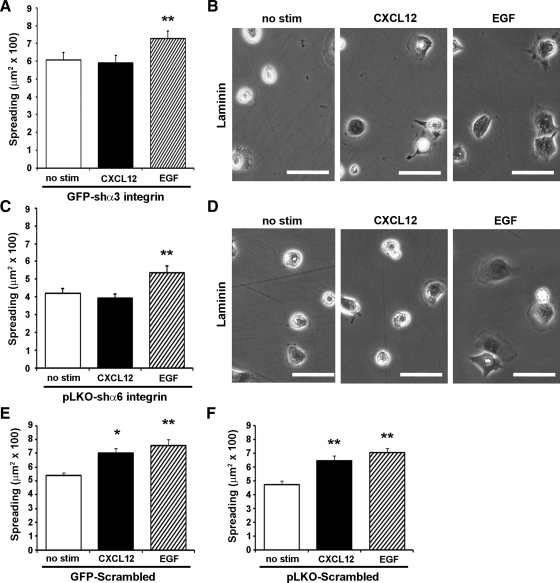 Fig. 9.