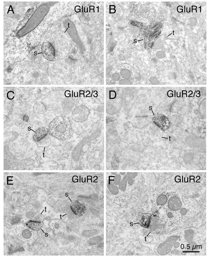 Fig. 11