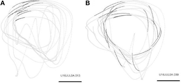 Figure 21