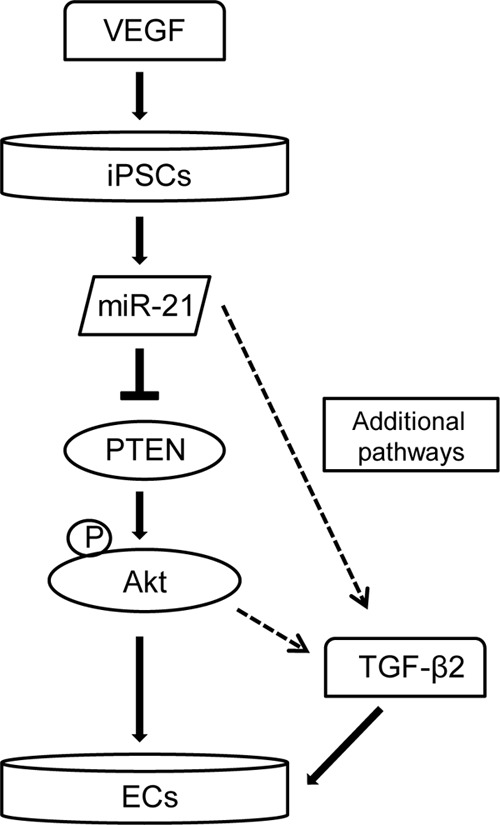 FIGURE 9.