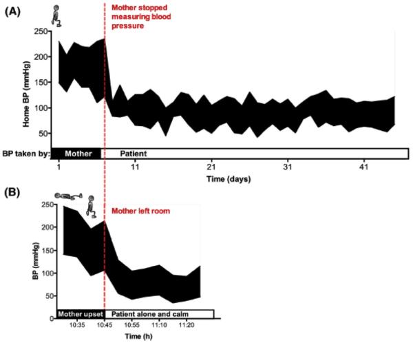 Figure 1. A