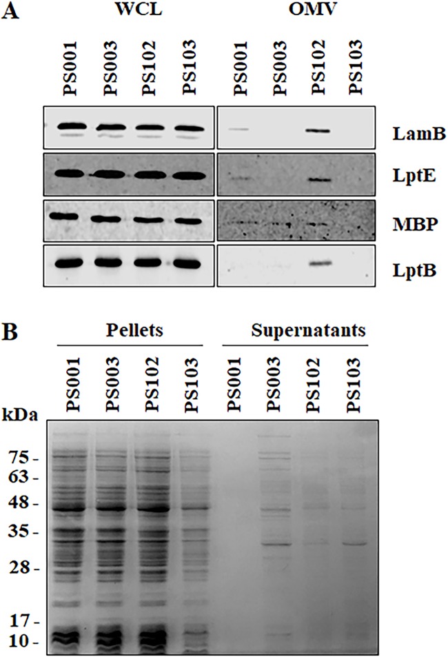 FIG 6