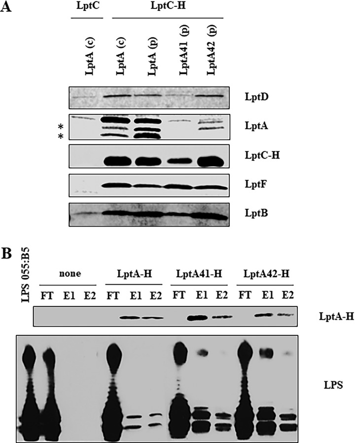 FIG 4