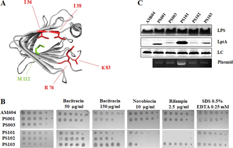 FIG 2