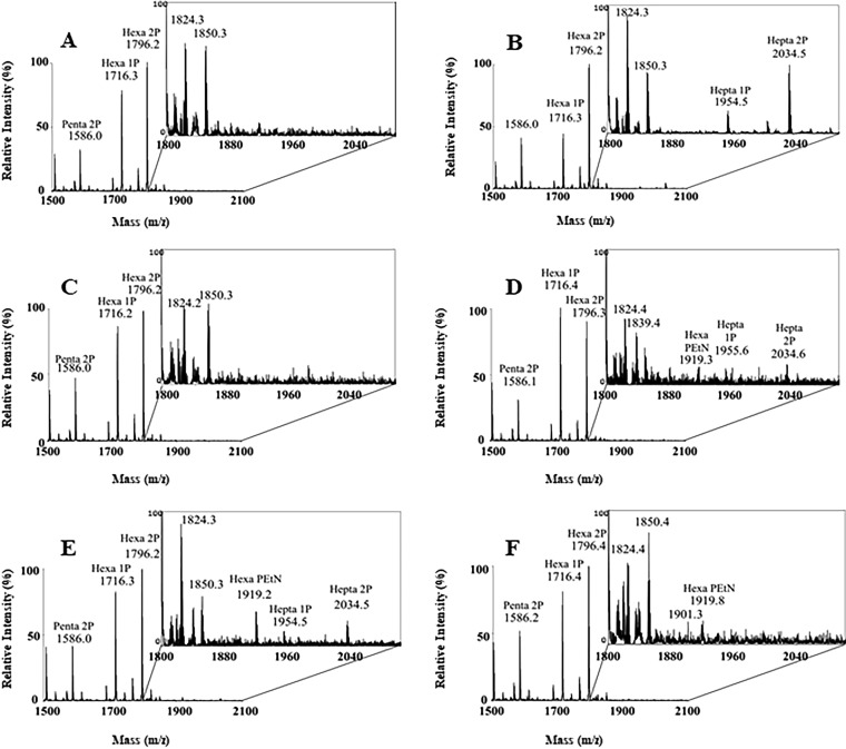 FIG 3