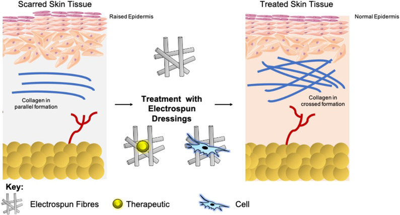 Graphical Abstract