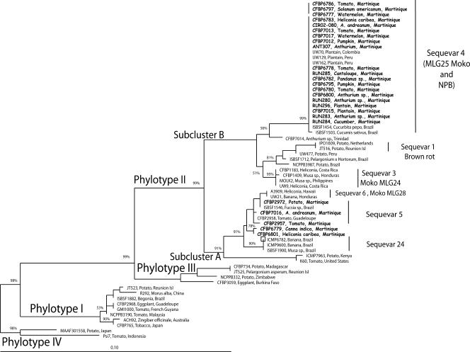 FIG. 2.