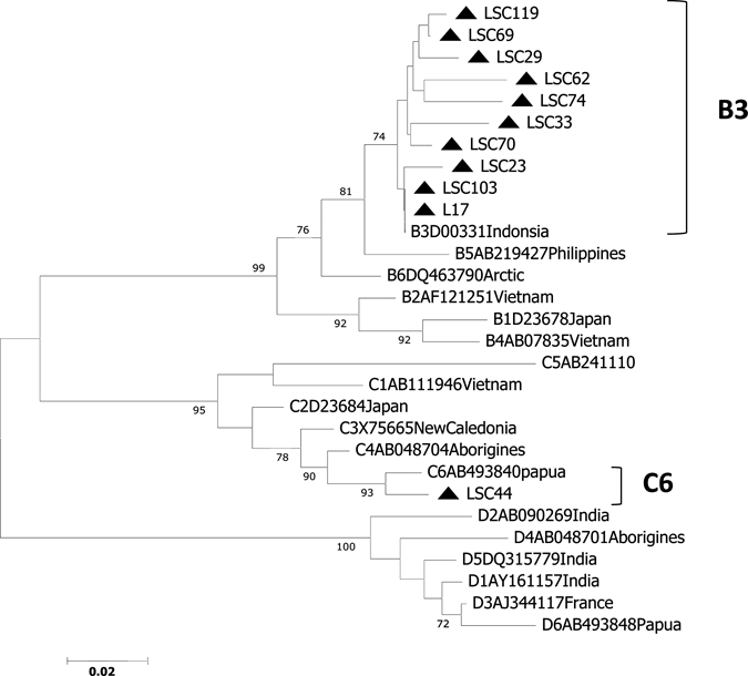 Figure 2.