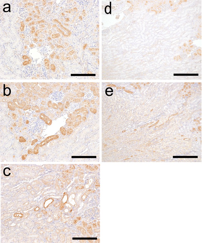 Fig.
7.