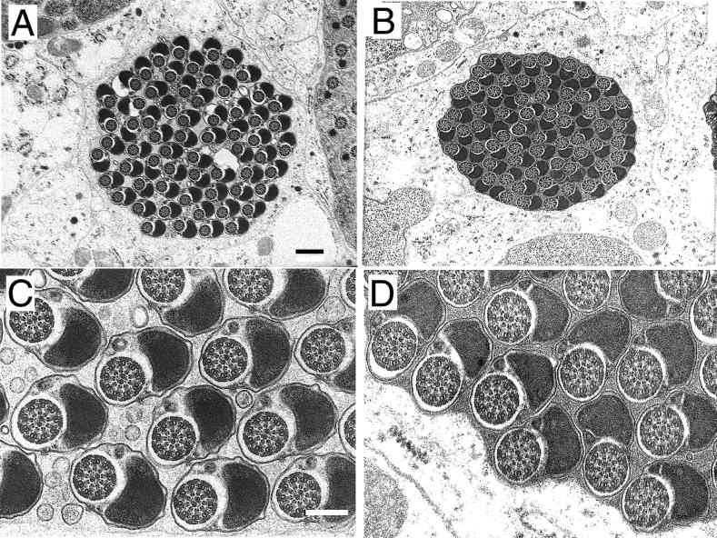 FIG. 6