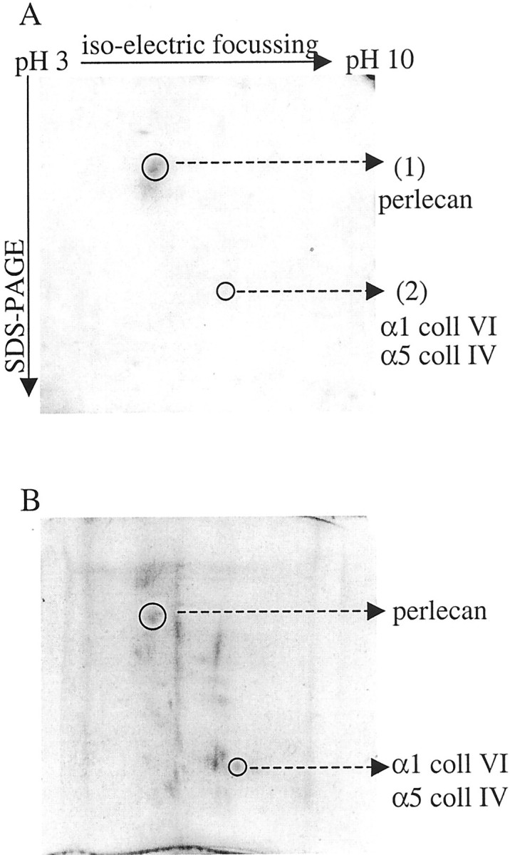 Figure 9.